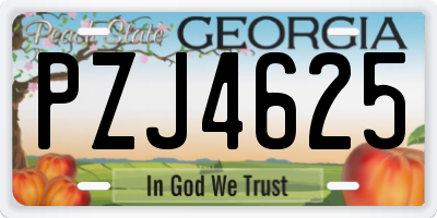 GA license plate PZJ4625