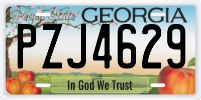 GA license plate PZJ4629