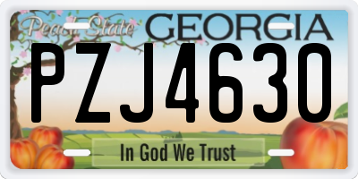 GA license plate PZJ4630