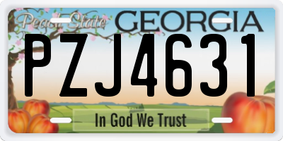 GA license plate PZJ4631