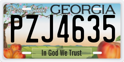 GA license plate PZJ4635