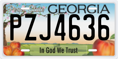 GA license plate PZJ4636
