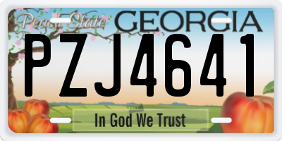 GA license plate PZJ4641