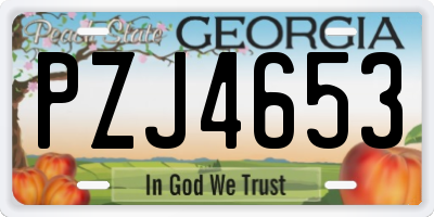 GA license plate PZJ4653