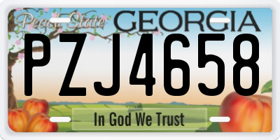 GA license plate PZJ4658