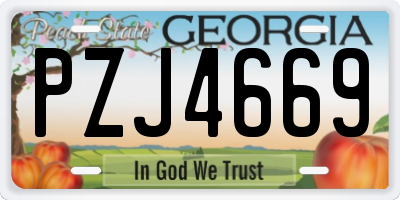 GA license plate PZJ4669