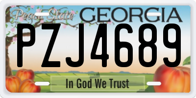 GA license plate PZJ4689