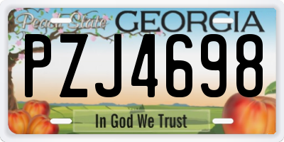 GA license plate PZJ4698