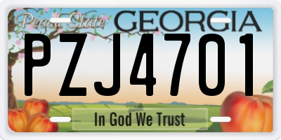 GA license plate PZJ4701