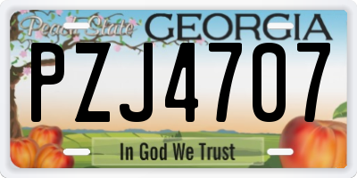 GA license plate PZJ4707