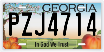 GA license plate PZJ4714