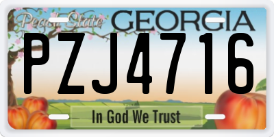 GA license plate PZJ4716