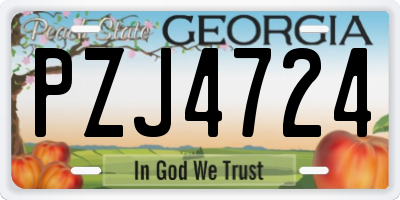 GA license plate PZJ4724