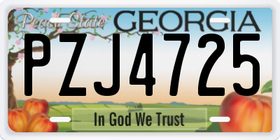 GA license plate PZJ4725