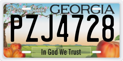 GA license plate PZJ4728