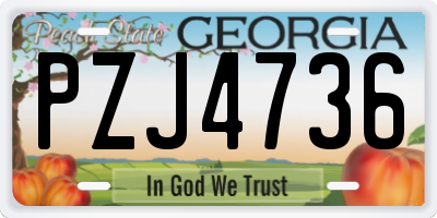 GA license plate PZJ4736
