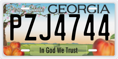 GA license plate PZJ4744