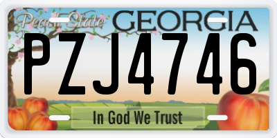 GA license plate PZJ4746