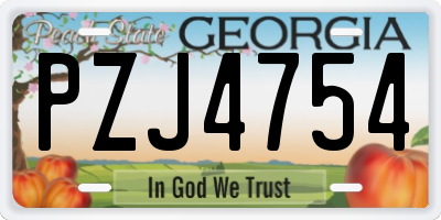 GA license plate PZJ4754