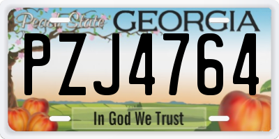 GA license plate PZJ4764