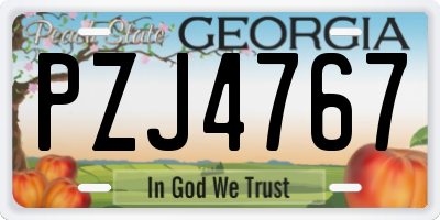 GA license plate PZJ4767