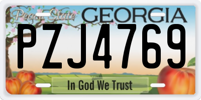 GA license plate PZJ4769