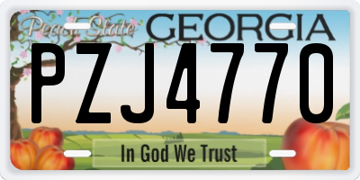 GA license plate PZJ4770