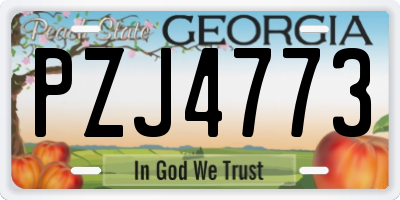 GA license plate PZJ4773