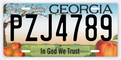 GA license plate PZJ4789
