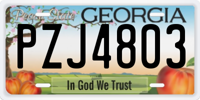 GA license plate PZJ4803