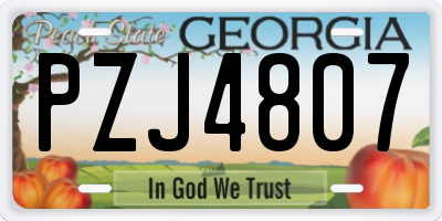 GA license plate PZJ4807