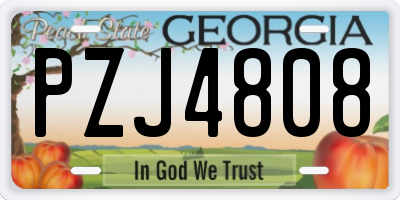 GA license plate PZJ4808