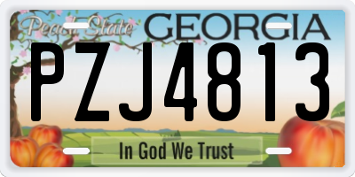GA license plate PZJ4813