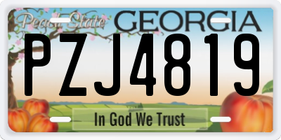 GA license plate PZJ4819