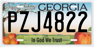 GA license plate PZJ4822