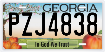 GA license plate PZJ4838