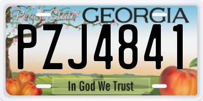GA license plate PZJ4841