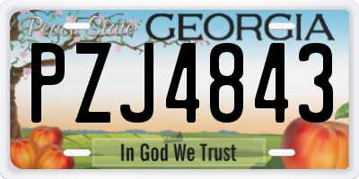 GA license plate PZJ4843