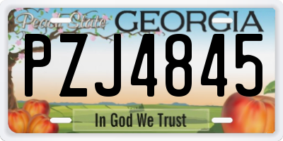 GA license plate PZJ4845