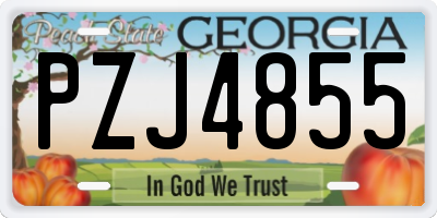 GA license plate PZJ4855