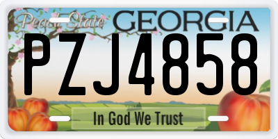 GA license plate PZJ4858