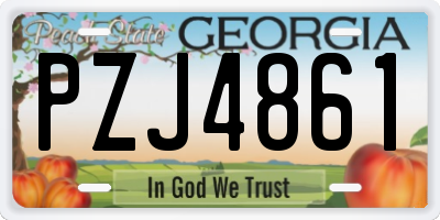GA license plate PZJ4861