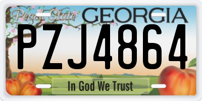 GA license plate PZJ4864
