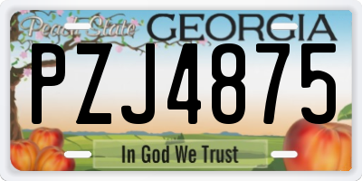 GA license plate PZJ4875