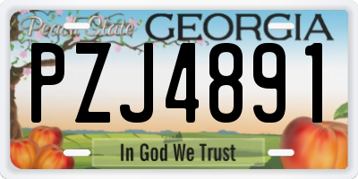 GA license plate PZJ4891