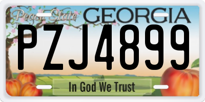 GA license plate PZJ4899