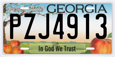 GA license plate PZJ4913