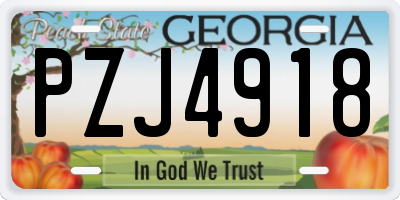 GA license plate PZJ4918