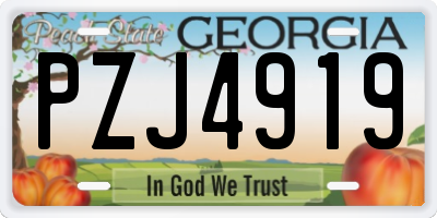 GA license plate PZJ4919