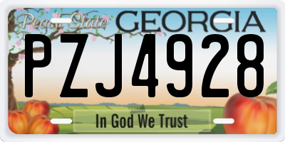 GA license plate PZJ4928